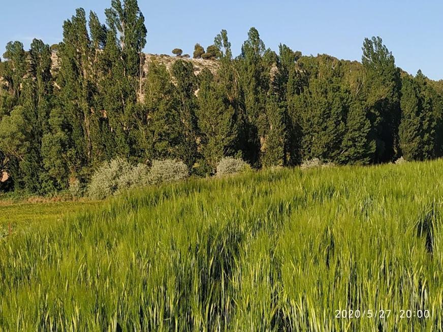 Casa Rural La Morena Castroverde de Cerrato Luaran gambar